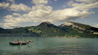 Interlaken  Familienferien am Thuner und Brienzersee  mehrschweizgehtnicht [upl. by Llenrrad]