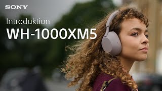 Vi presenterar Sony WH1000XM5 i rökig rosa [upl. by Arnon]