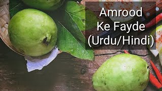 Amrood Ke Fayde  Benefits Of Guava In UrduHindi [upl. by Ennadroj598]