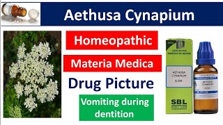 Aethusa Cynapium Homeopathic Medicine  Drug Picture  Materia Medica bhms aethusa materiamedica [upl. by Emmeline646]