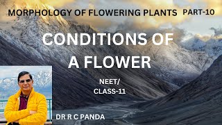 FLOWER2  CONDITIONS OF A FLOWER  MORPHOLOGY OF FLOWERING PLANTS  NEET  CLASS11  DR R C PANDA [upl. by Rahman284]