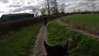 Gallops 16th March 2024 [upl. by Ingar]