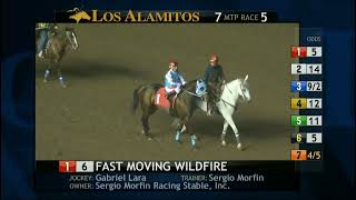 Los Alamitos Replays  Saturday September 7 2024  Race 5 [upl. by Kassi]