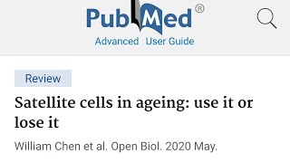 Satellite cells in ageing use it or lose it BUILD NEW MUSCLE CELLS Reverse Aging [upl. by Gregory]