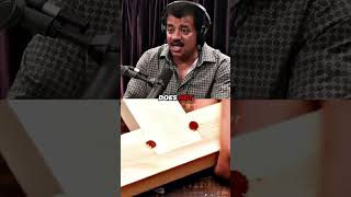 Neil deGrasse Tyson On Asking Questions [upl. by Mudenihc41]