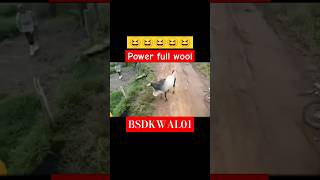 Powerfull woo comedy ytcommedy ytshort shortfeed funnycomedy vital trending powerful [upl. by Bethena]