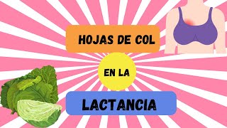 ¿PARA QUE SE UTILIZAN LAS HOJAS DE COL O REPOLLO DURANTE LA LACTANCIA MATERNA [upl. by Anividul860]