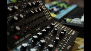 Grandmother Mother32 amp DFAM Patch Tricks amp Tips Live from the Moog Factory [upl. by Marr736]