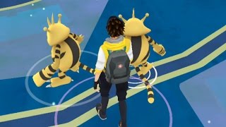 INSANE 5 Wild Electabuzz Spawns in 5 Minutes Pokemon GO November Event [upl. by Amarillas480]