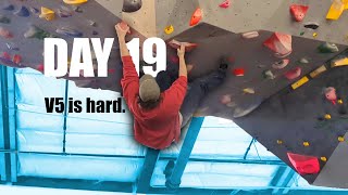 V6 is Easier Than V5  Day 19 of Bouldering [upl. by Newmark]