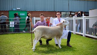 BREED CHAMPION  A SHOW TO REMEMBER  Staffordshire County Show 2022 [upl. by Aibar]