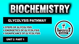 Glycolysis Pathway  Energetics And Significance Of Glycolysis  Carbohydrates Metabolism  Biochem [upl. by Magel774]