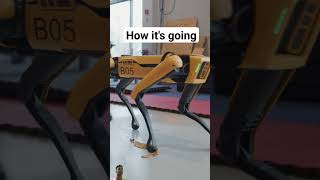 dog robotics roboting automobile diy construction music rock tiger funny [upl. by Kubetz]