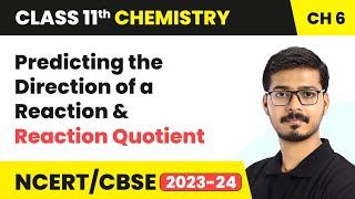 Predicting the Direction of a Reaction amp Reaction Quotient  Equilibrium  Class 11 Chemistry Ch 6 [upl. by Ojillib]