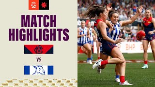 Melbourne v North Melbourne Highlights  2023 NAB AFLW Finals [upl. by Bernardina755]