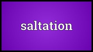 Saltation Meaning [upl. by Naryt886]