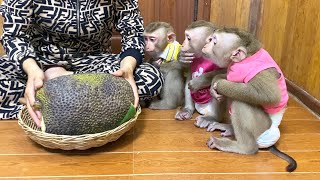 Grade A Jackfruit SpeciaIIy Opted For The Only Trio Lunch [upl. by Alyakcim]