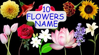 Flowers Name  फूलों के नाम  10 flower name for kids  flower name with Spelling [upl. by Jermaine792]