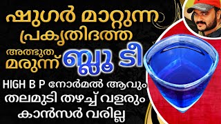 ബിപിയും ഷുഗറും മാറാൻ അത്ഭുത പാനീയം BLUE TEA  Aparajitha  Shanku Pushpam  Butterfly Pea Benefits [upl. by Kit]