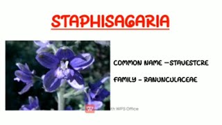 STAPHYSAGRIA MATERIA MEDICA [upl. by Dleifxam]