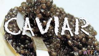 What Is and How to Eat Caviar Caviar 101 [upl. by Nahgaem272]