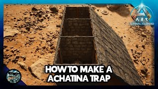 How to Make a Achatina Trap in Ark Survival Ascended [upl. by Eldnek]