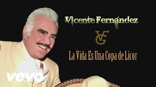 Vicente Fernández  La Vida Es una Copa de Licor Cover Audio [upl. by Allekram]