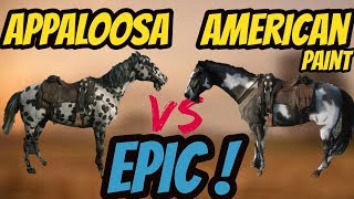 RDR 2 Appaloosa VS American Paint Horse Battle EPIC [upl. by Idhem]