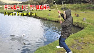 PESCA de La TRUCHA de la SIERRA VIRGEN al Champiñón y al AJILLO [upl. by Klemens]