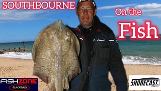 SOUTHBOURNE SEA FISHING  WITH SUCCESS [upl. by Timi379]