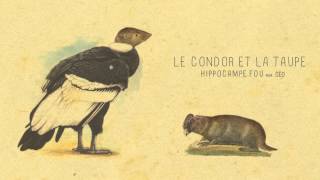 07  LE CONDOR ET LA TAUPE Hippocampe Fou feat céo [upl. by Bonar]