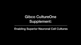 Gibco CultureOne Supplement Superior Neuronal Cell Culture [upl. by Attem]