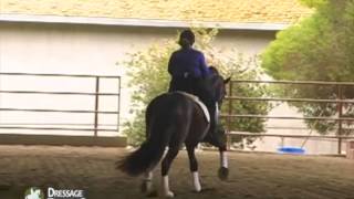 Dressage training with Daniel Martin Dockx Getting power from behind with Para Dressage Rider [upl. by Nospmoht]