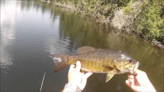 Bass Fishing Flour Lake  Golden Eagle Lodge  62615 [upl. by Caras]