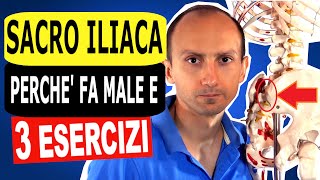 Mal di Schiena allArticolazione SacroIliaca Perché e 3 Esercizi Efficaci che ho testato [upl. by Franz]