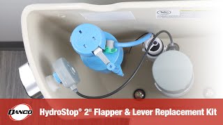 Pentair Swing Check Flapper Valve Replacement [upl. by Rissa412]