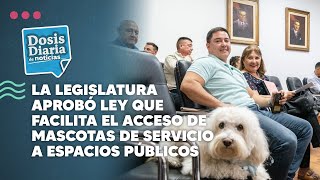 La Legislatura aprobó ley que facilita el acceso de mascotas de servicio a espacios públicos [upl. by Dahsar]