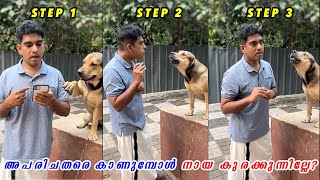 അപരിചിതരെ കണ്ടാൽ നായ കുരയ്ക്കുന്നില്ല 🐶 How to Train Your Dog to Bark at strangers Dog training [upl. by Hubey]