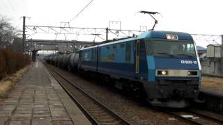 日本オイルターミナル・貨物列車 EH20010 electric locomotive [upl. by Ase]