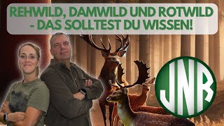 Rehwild Damwild Rotwild Diese Unterschiede solltest du bei der Jagd wissen [upl. by Aleakcim]