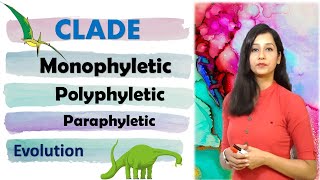 Phylogenetic tree I Clade I Monophyletic I Paraphyletic I Polyphyletic II Evolution [upl. by Sixla]