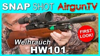 Weihrauch HW110 compared to the HW100 and the new BSA R10SE Super Carbine [upl. by Boycey460]