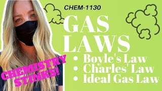 Understanding Gas Laws  Chemistry for Nursing Students [upl. by Mazlack]