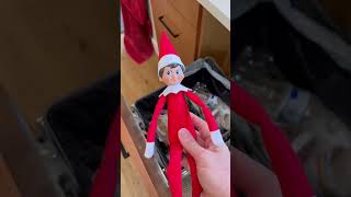 I Brought An ELF ON THE SHELF Into Our HAUNTED HOUSE Part 2 shorts [upl. by Kingston]