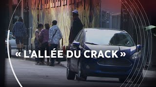 Les voisins de « l’allée du crack » racontent leur « enfer » à Montréal [upl. by Roel806]