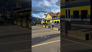 Train spotting at Wilderswil Switzerland travel swissbeauty train trainspotting trainlover [upl. by Adeirf]