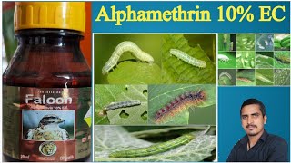 alphamethrin 10 ec uses in hindialphamethrin 10 ecalphamethrin 10 ec tamil [upl. by Intosh]