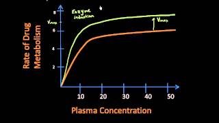 Enzyme Induction  Pharmacokinetics Lect 16 [upl. by Takara]