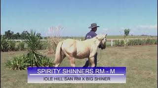 13 SPIRITY SHINNERS RM [upl. by Cain]