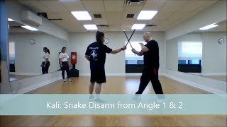 Kali Snake Disarm from Angle 1 amp 2 [upl. by Penni612]